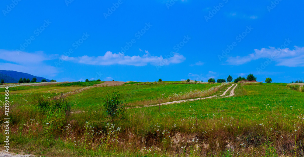 Country road fields background the blue