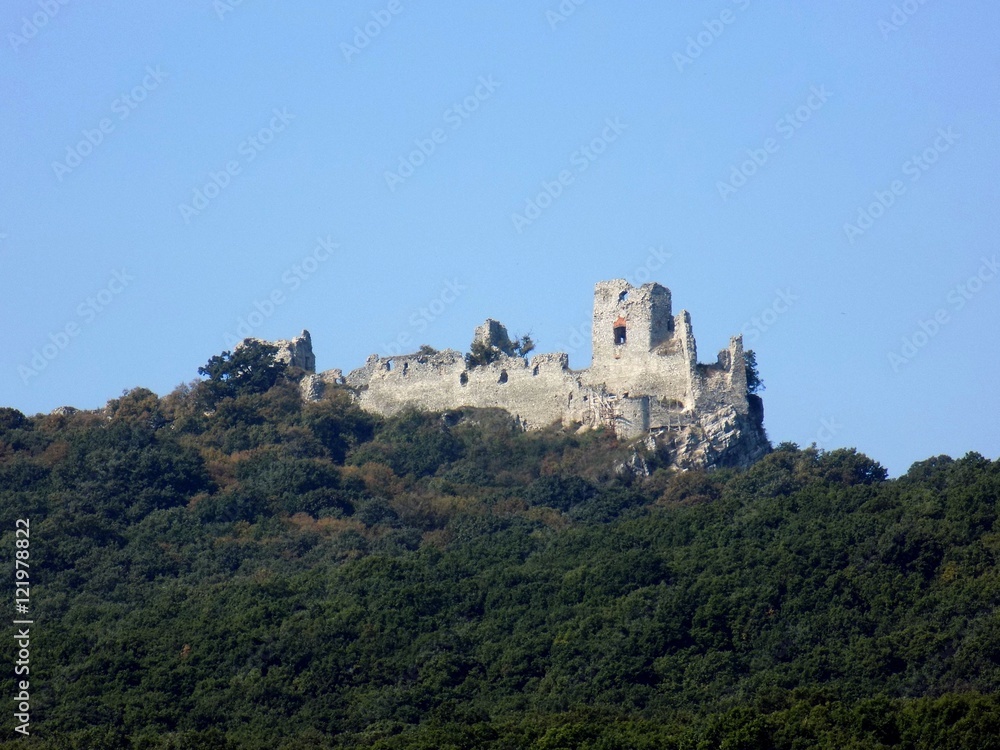 Castle on hill and deciduous forest under this castle, old historical building