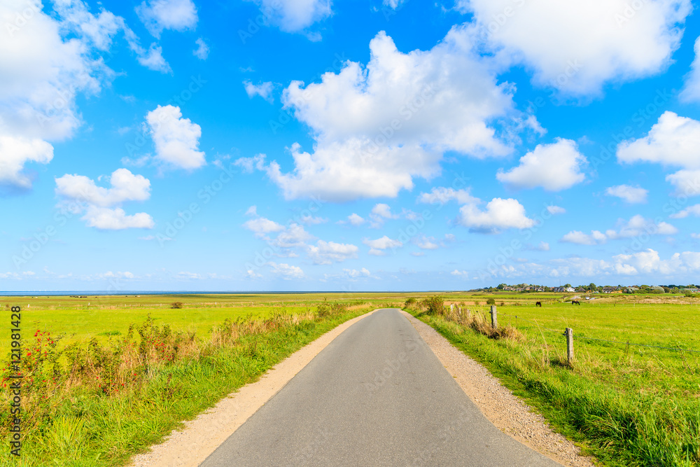 Rural bike road along green farming fields in countryside landscape of Sylt island near Keitum village, Germany Rural bike road along green farming fields in countryside landscape of Sylt island near Keitum village, Germany
