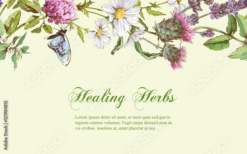 Vector herbal banner