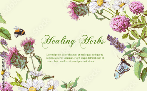 Vector herbal banner