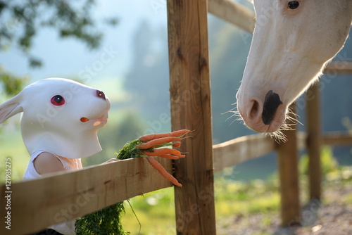 we belong together, little girl with a rabbit mask feeding a painthorse with carrots photo