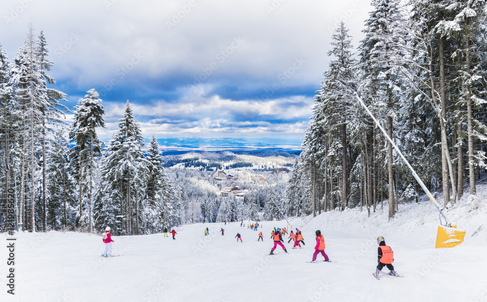 Group of children on a ski slope in winter season,  learning ski sport in Poiana Brasov, Romania