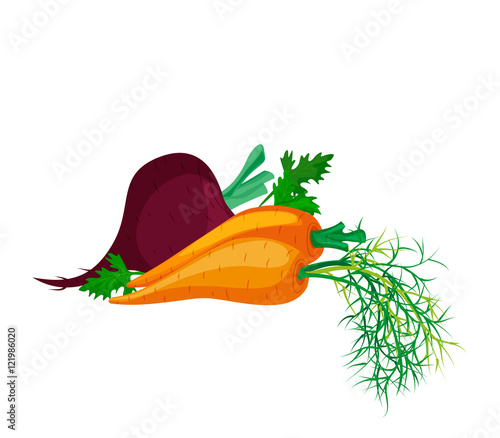 Fresh vegetables: beets, carrots and parsley