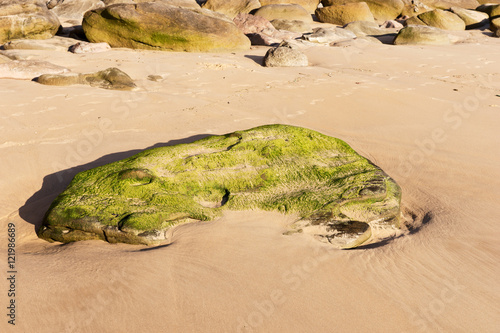 Beach with stone covered with green algae