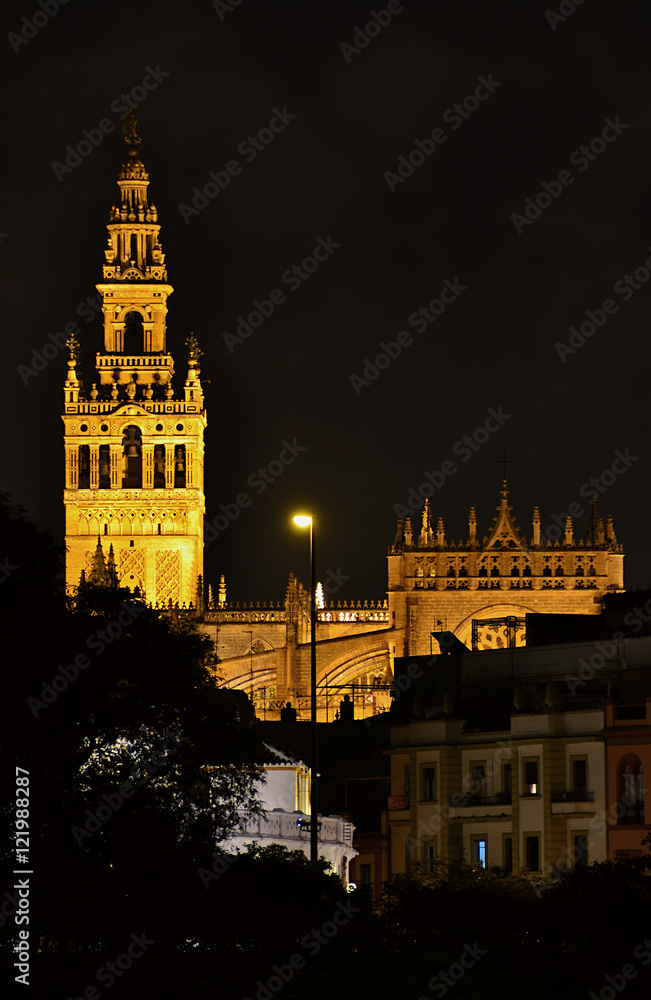 Fototapeta premium Giralda de Sevilla