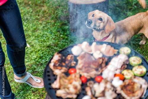 Fotografie Dog standing close to barbecue