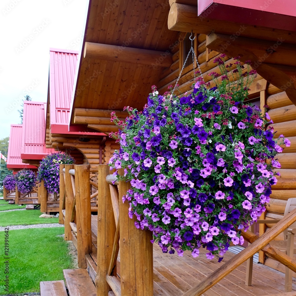 Wooden cabins and flowers.