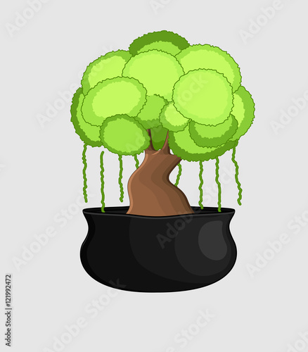 Bonsai Tree in Vase Vector