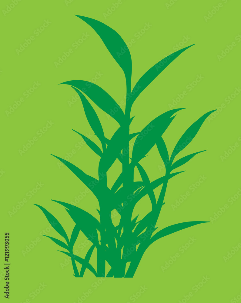 Obraz premium Green Wild Grasses Silhouettes