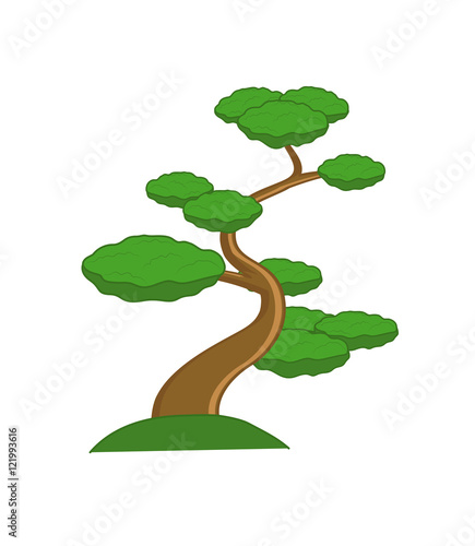 Bonsai Plant Vector