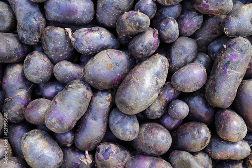 Naklejka purple potato
