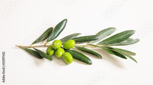 Bild auf Leinwand Green olives on a branch on white background