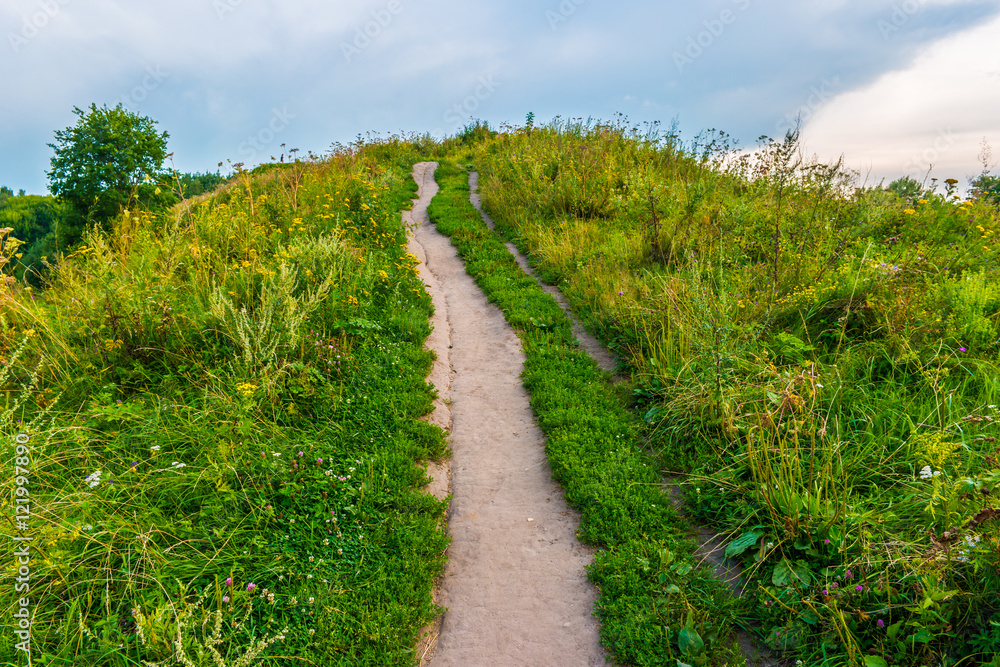 Pathway on a hill with wildflowers. Beautiful natural landscape at sunset with green grass, flowers and cloudy sky. Image of travelling and adventure in countryside. Great outdoors picture.