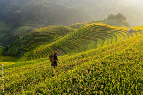 Farmer and on Rice fields terraced of Mu Cang Chai, YenBai, Vietnam