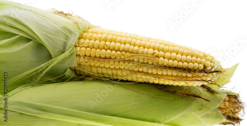 A Corn cob isolated on white background