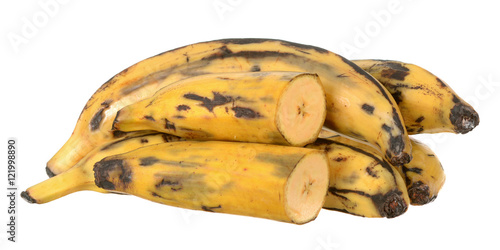  plantain banana