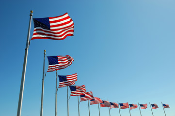 USA flags in a row waving in the wind