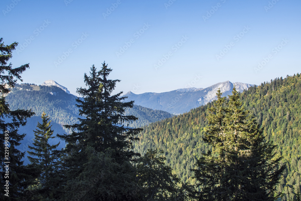 Massif de la Chartreuse - Lances de Malissard.