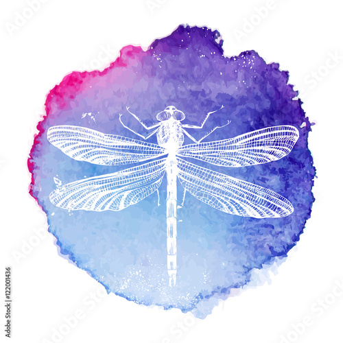 hand drawn dragonfly on watercolor background