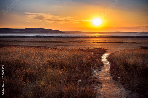 Fototapeta Naklejka Na Ścianę i Meble -  Dry salt lake with reeds in the Crimea