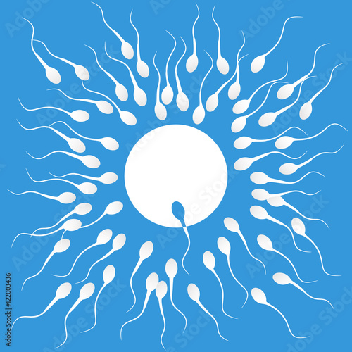 Vector background sperm that runs towards the egg, Competition c