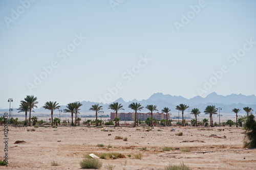 Garbage on the sand background palms on Egypt