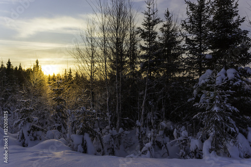 Sunset in Norwegian winter landscape