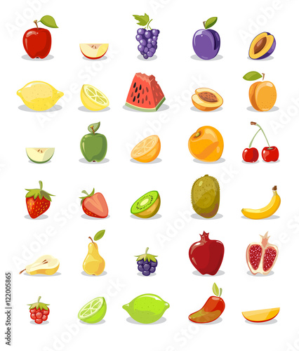 Vector fruits and slices collection