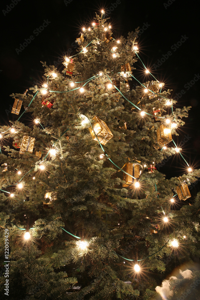 Weihnachtsbaum StockFoto Adobe Stock