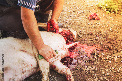 Photos man cuts the pig's head