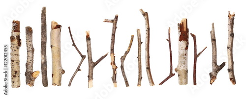 Fotografie, Obraz Twigs, big set macro dry branches birch isolated on white background, with clipp