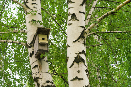 Wooden birdhouse on the birch tree with green leaves