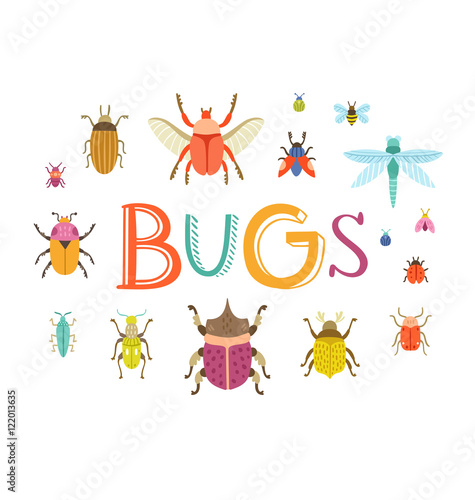 Fun colorful vector bugs collection