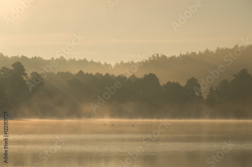 Fototapeta Naklejka Na Ścianę i Meble -  Poranek nad Jeziorem Nidzkim
