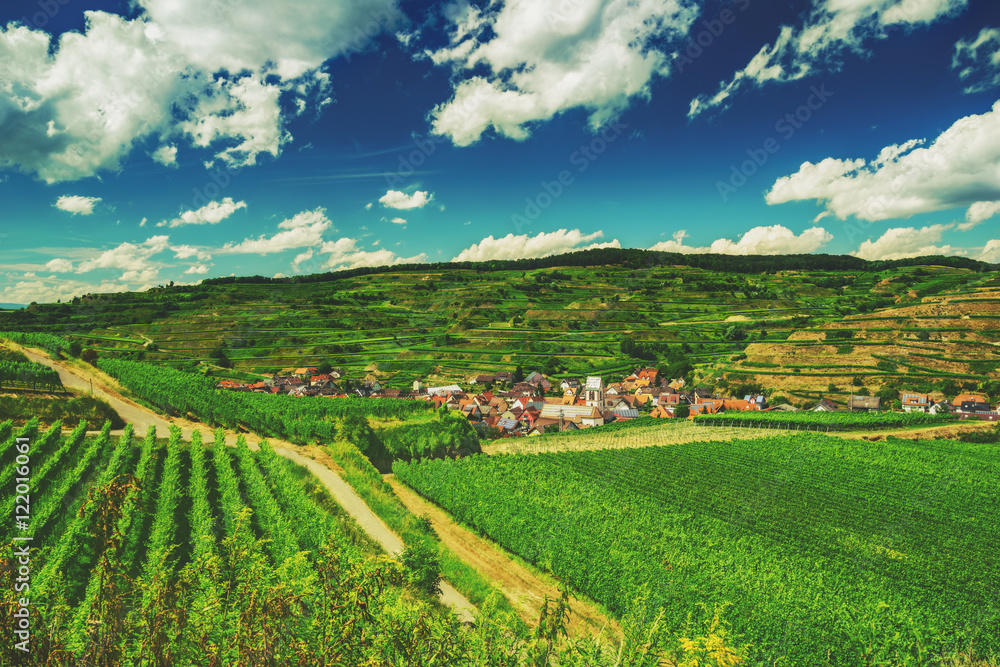 Vines growing in picturesque hilly countryside in Germany. Colorful summer landscape with a historic village. Wine-making background.