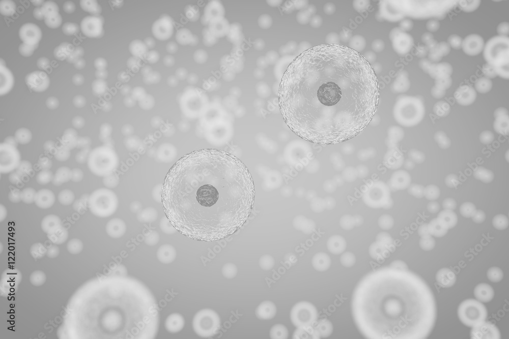 Scientific illustration of cells dividing by osmosis, background with cells, 3D render illustration