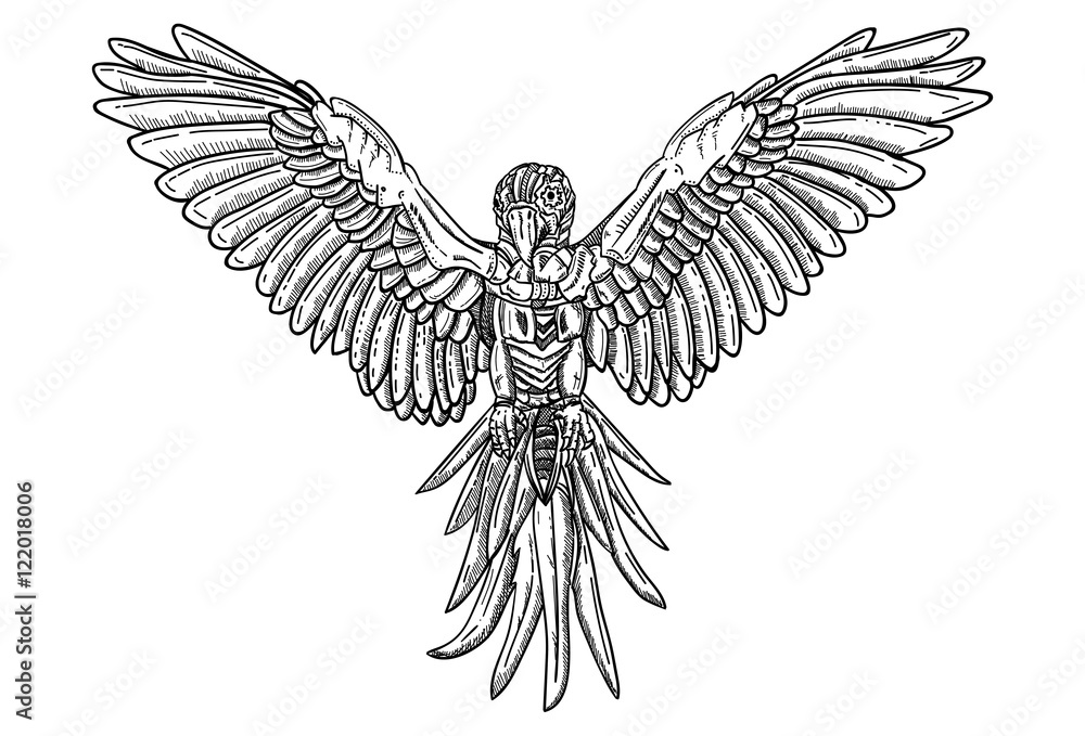 Obraz premium Parrot abstract