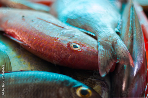 Fish in fish market