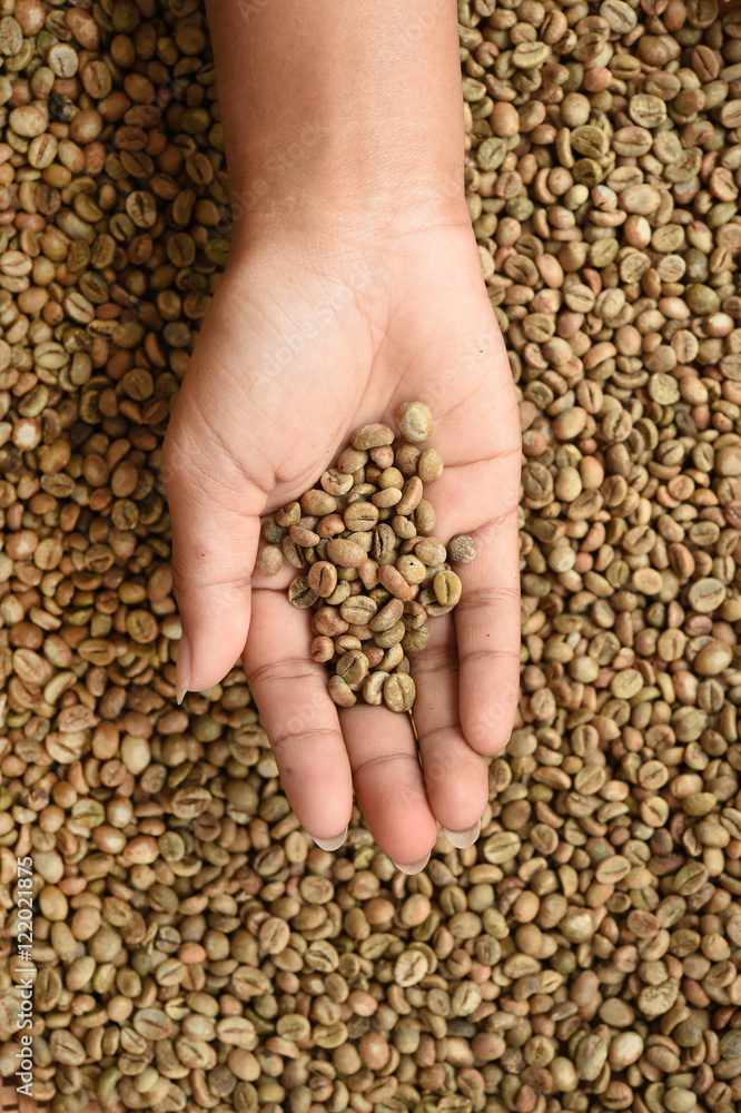 Close up of coffee beans on hand Close up of coffee beans on hand