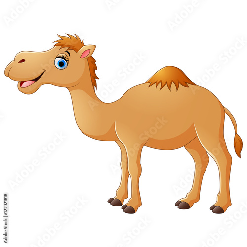 Cute camel cartoon