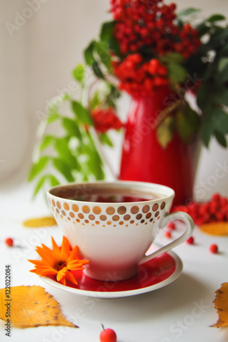 autumn still life with rowan in red vintage vase and cup of tea