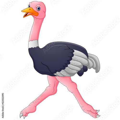 Cute ostrich cartoon