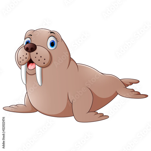 Cartoon walrus