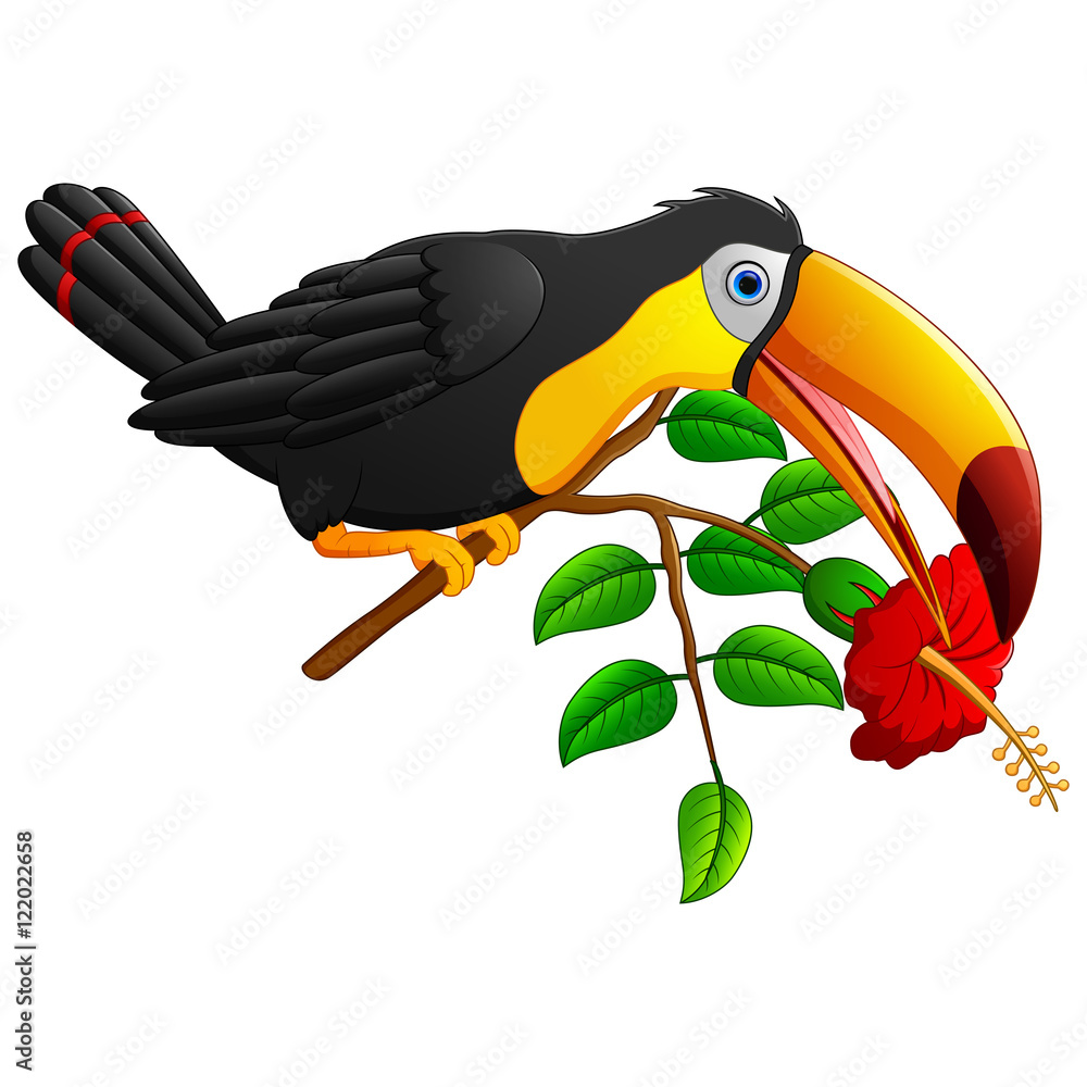 Fototapeta premium Funny toucan bird cartoon on branch