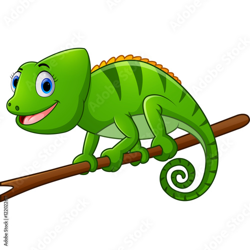 Cartoon chameleon on branch