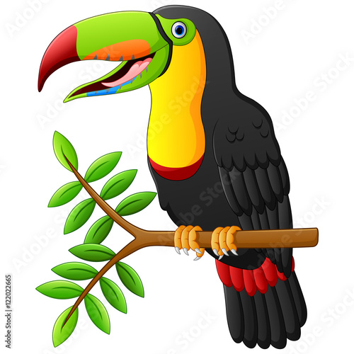 Funny toucan bird cartoon on branch