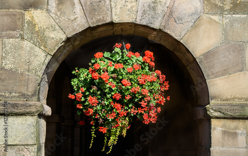 Fototapeta Naklejka Na Ścianę i Meble -  Red Hanging Flowers