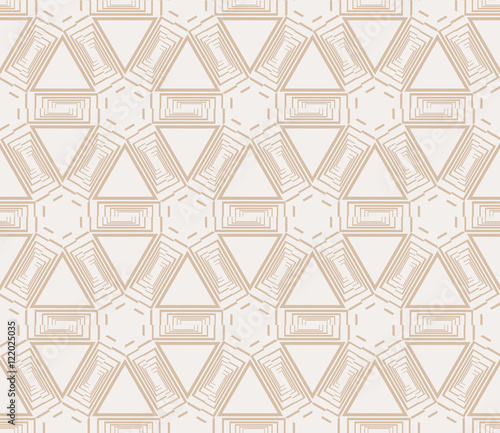 Abstract vector illustration with intricate geometric patterns