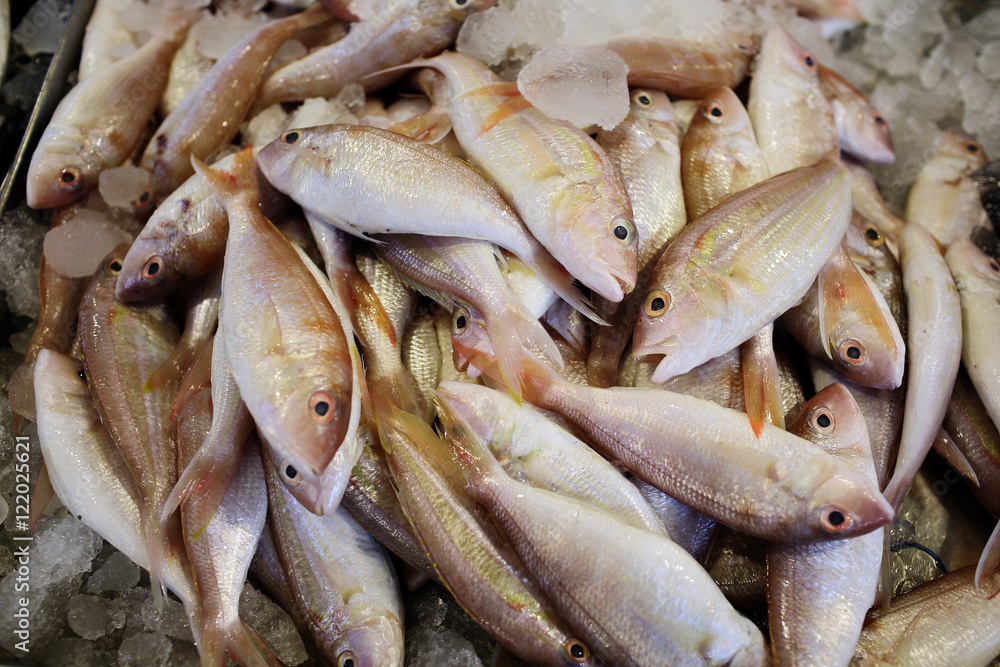Fresh fishes in the night market,real shot under fluorescent light. Fresh fishes in the night market,real shot under fluorescent light.